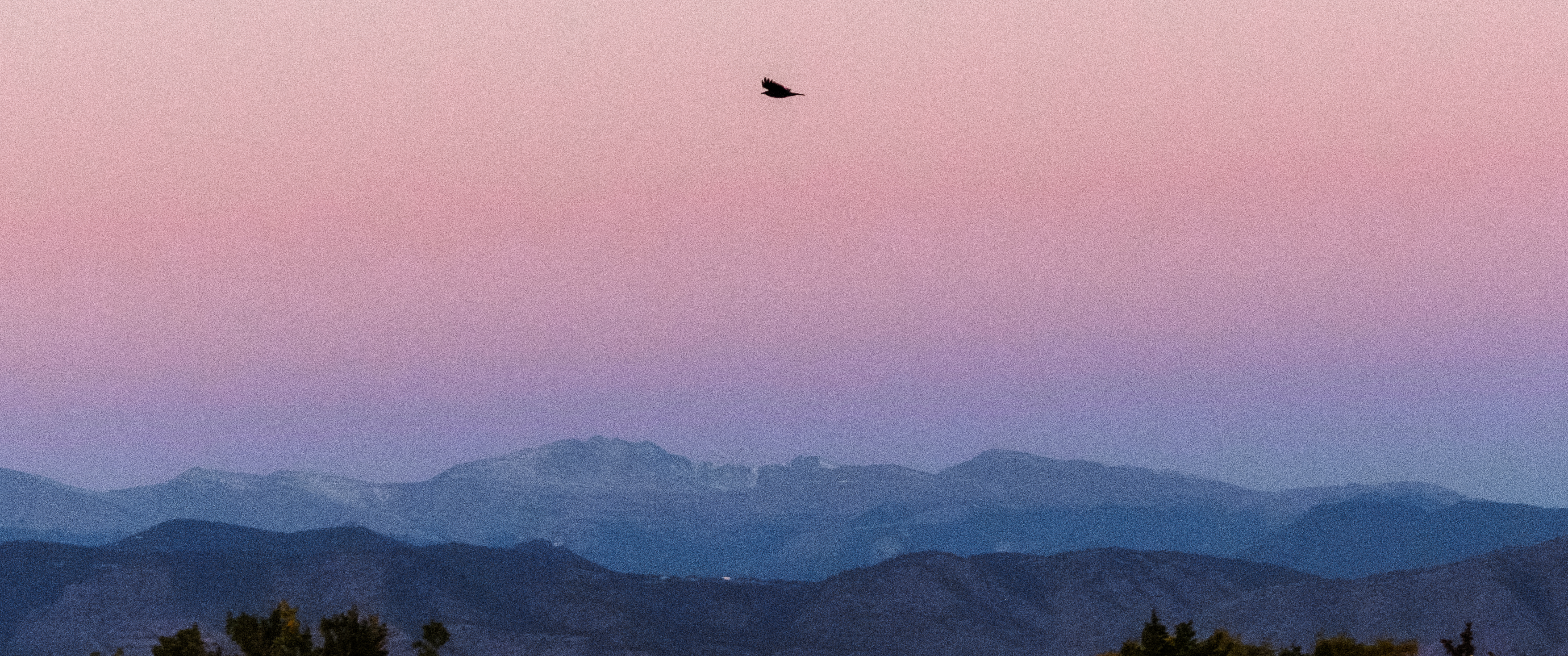 Bird soaring over layered purple mountain ridges at sunset